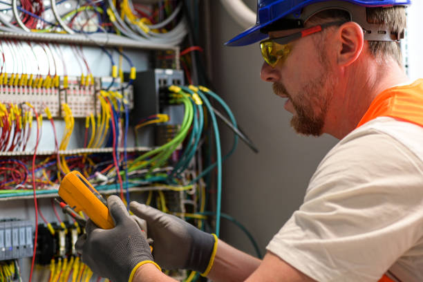 Best Home Electrical Repair  in Sheldon, IL